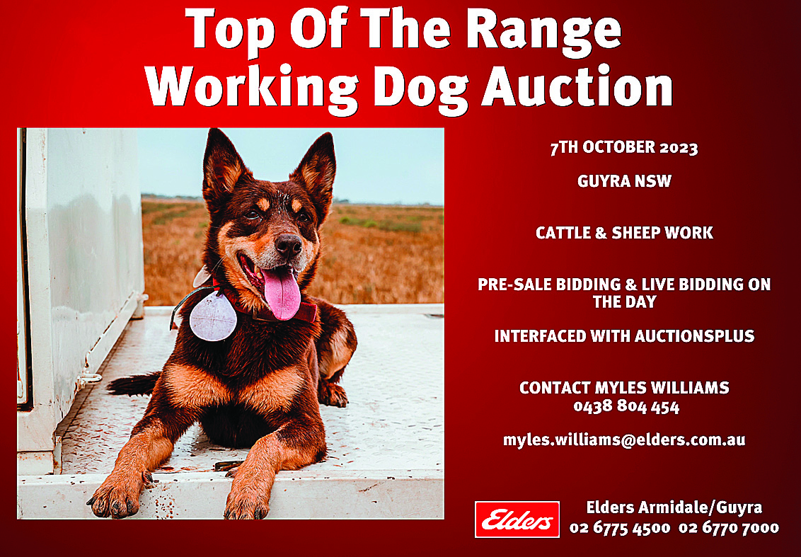 The Sustainable House Tour 2023 Guyra Gazette